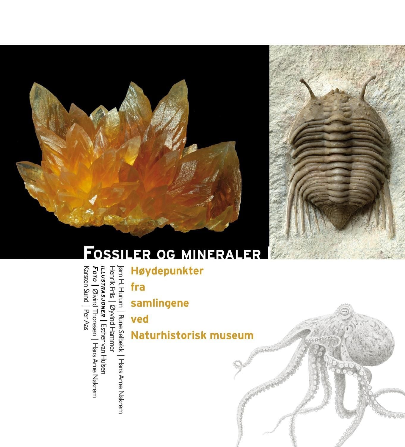 Fossiler og mineraler