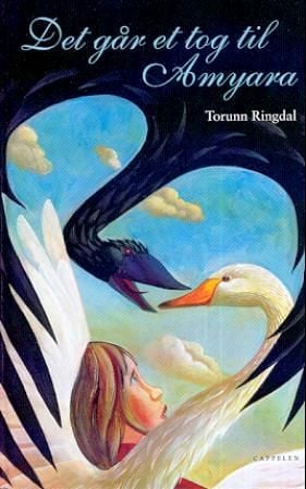 Det går et tog til Amyara