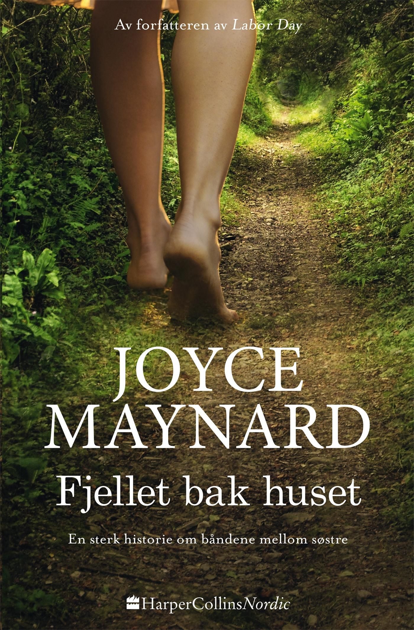 Fjellet bak huset