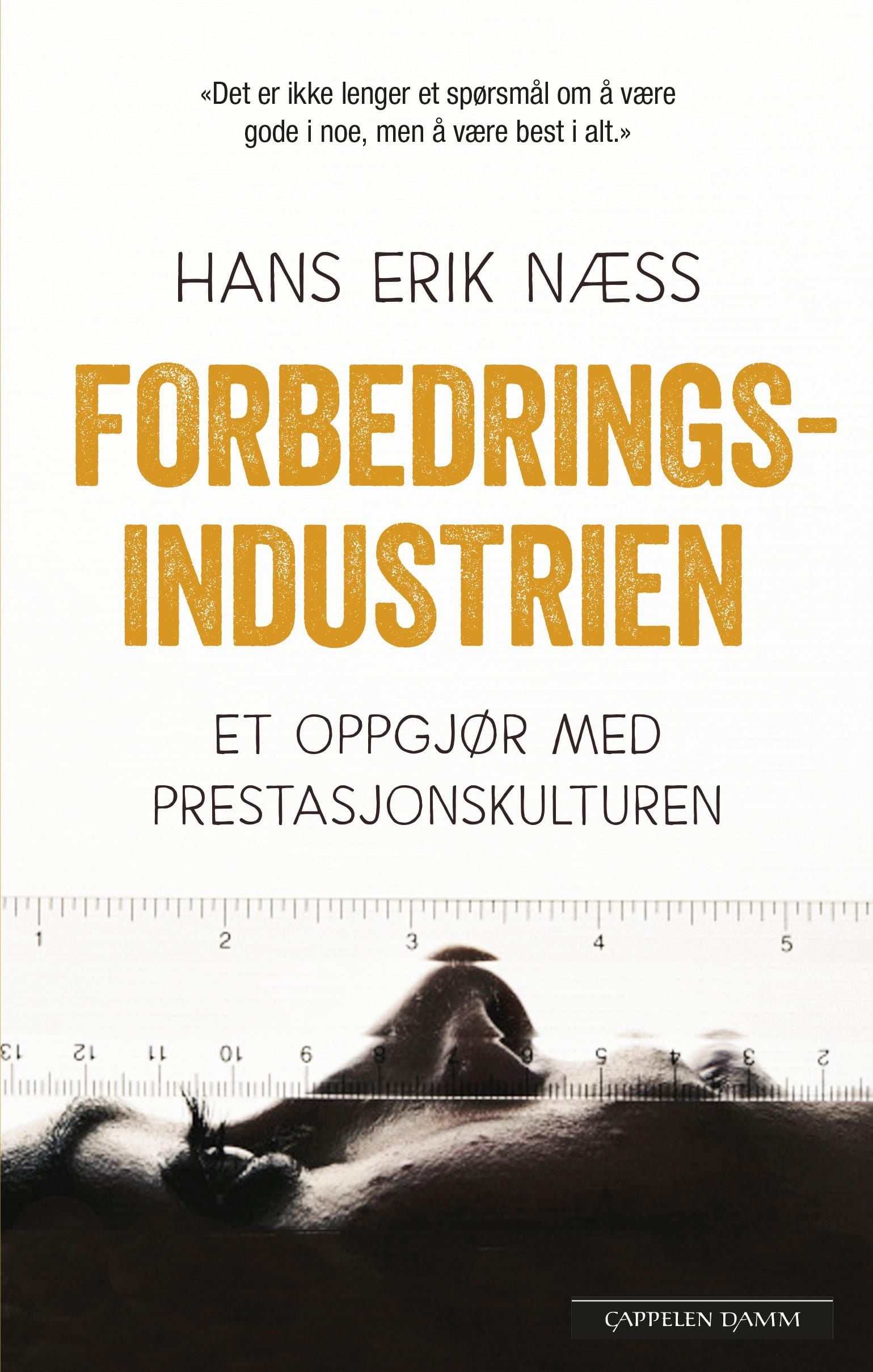 Forbedringsindustrien