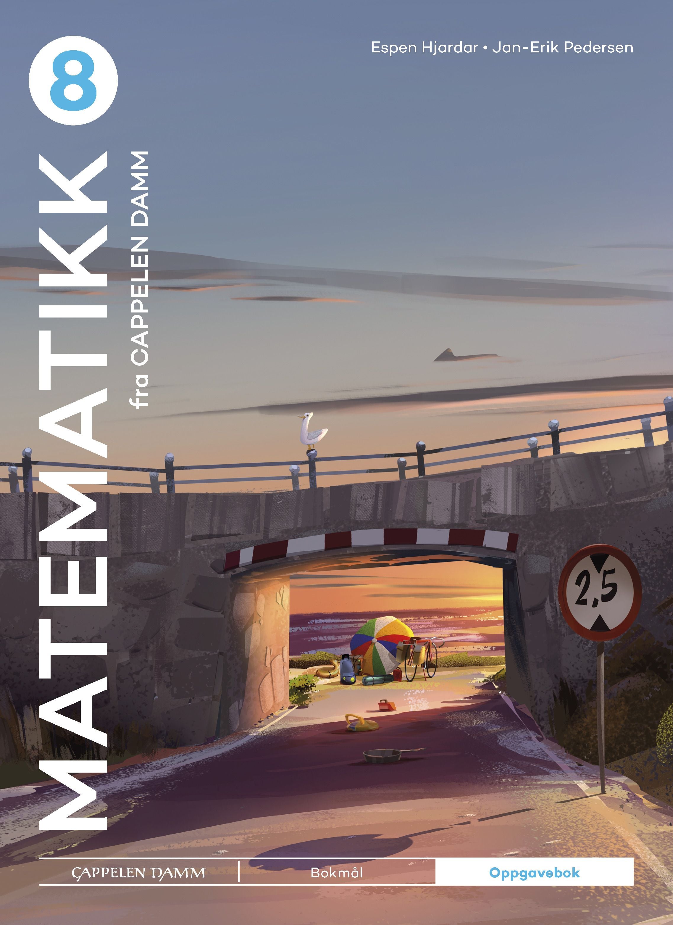 Matematikk 8 fra Cappelen Damm