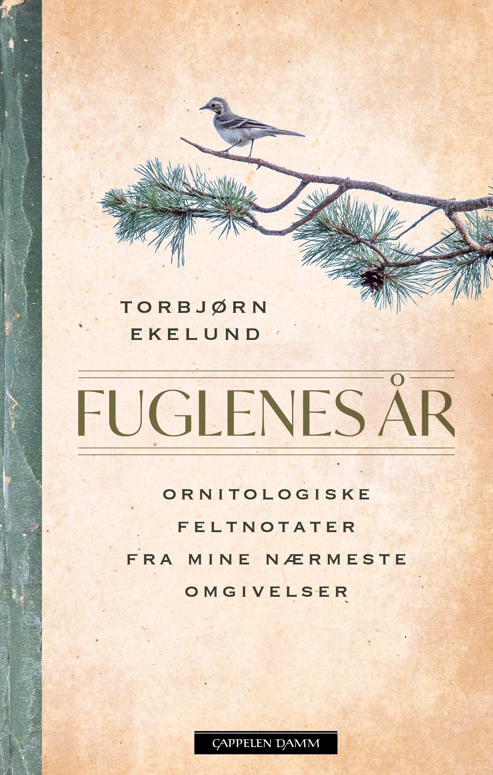 Fuglenes år