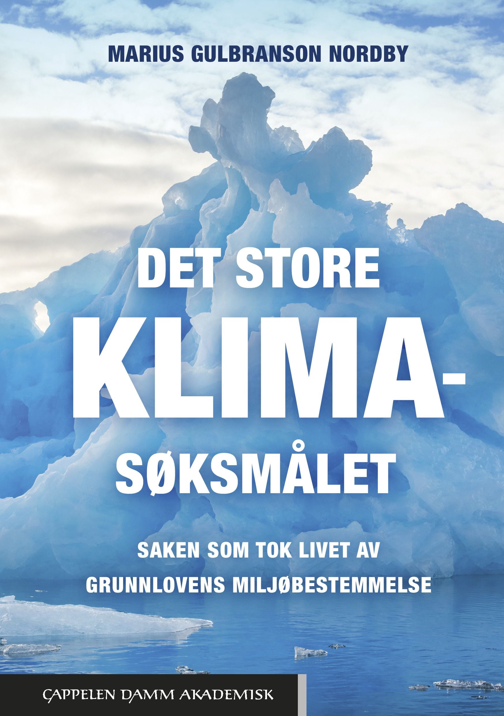 Det store klimasøksmålet