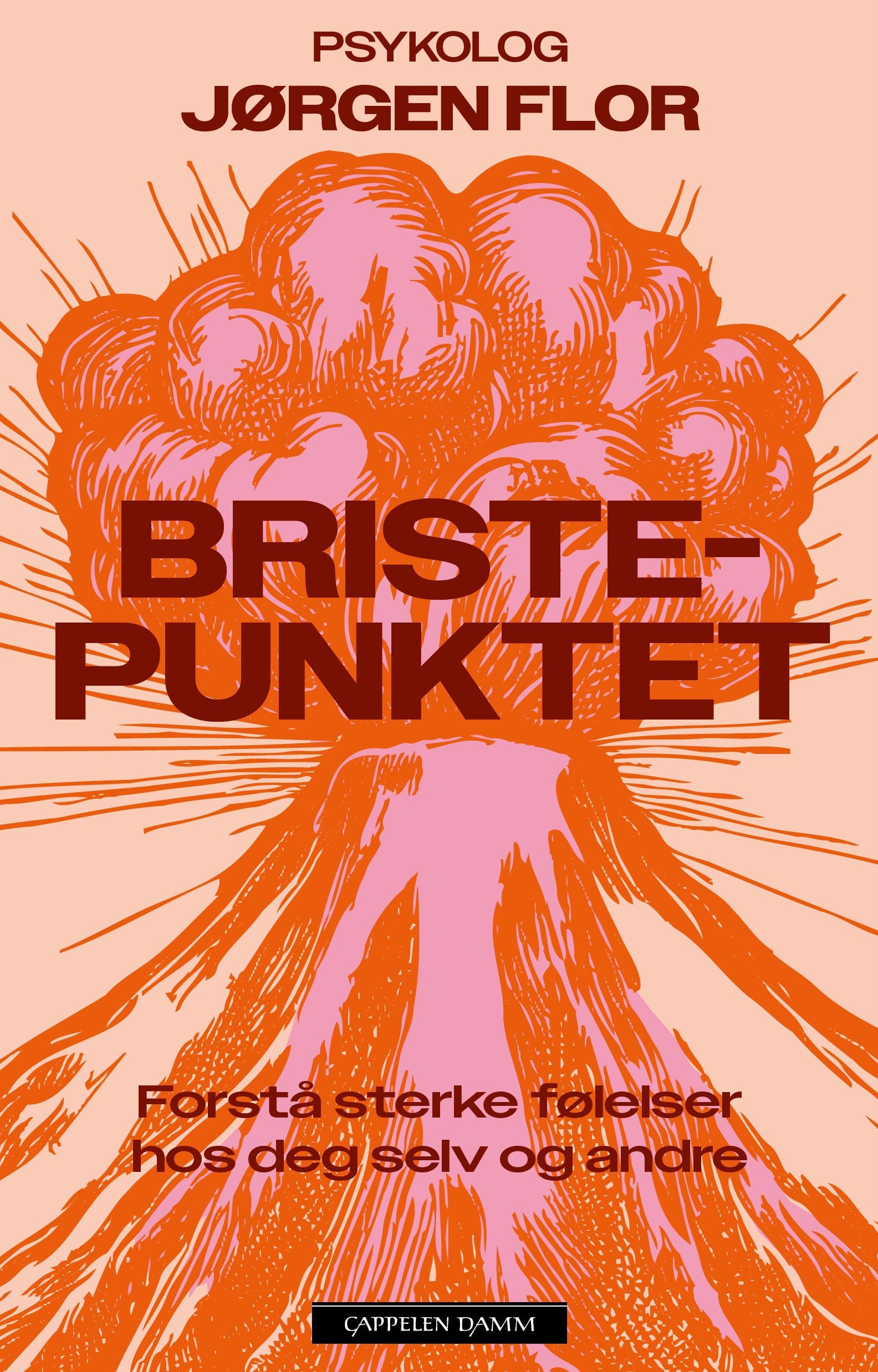 Bristepunktet