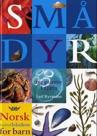 Smådyr og planter i fjæra