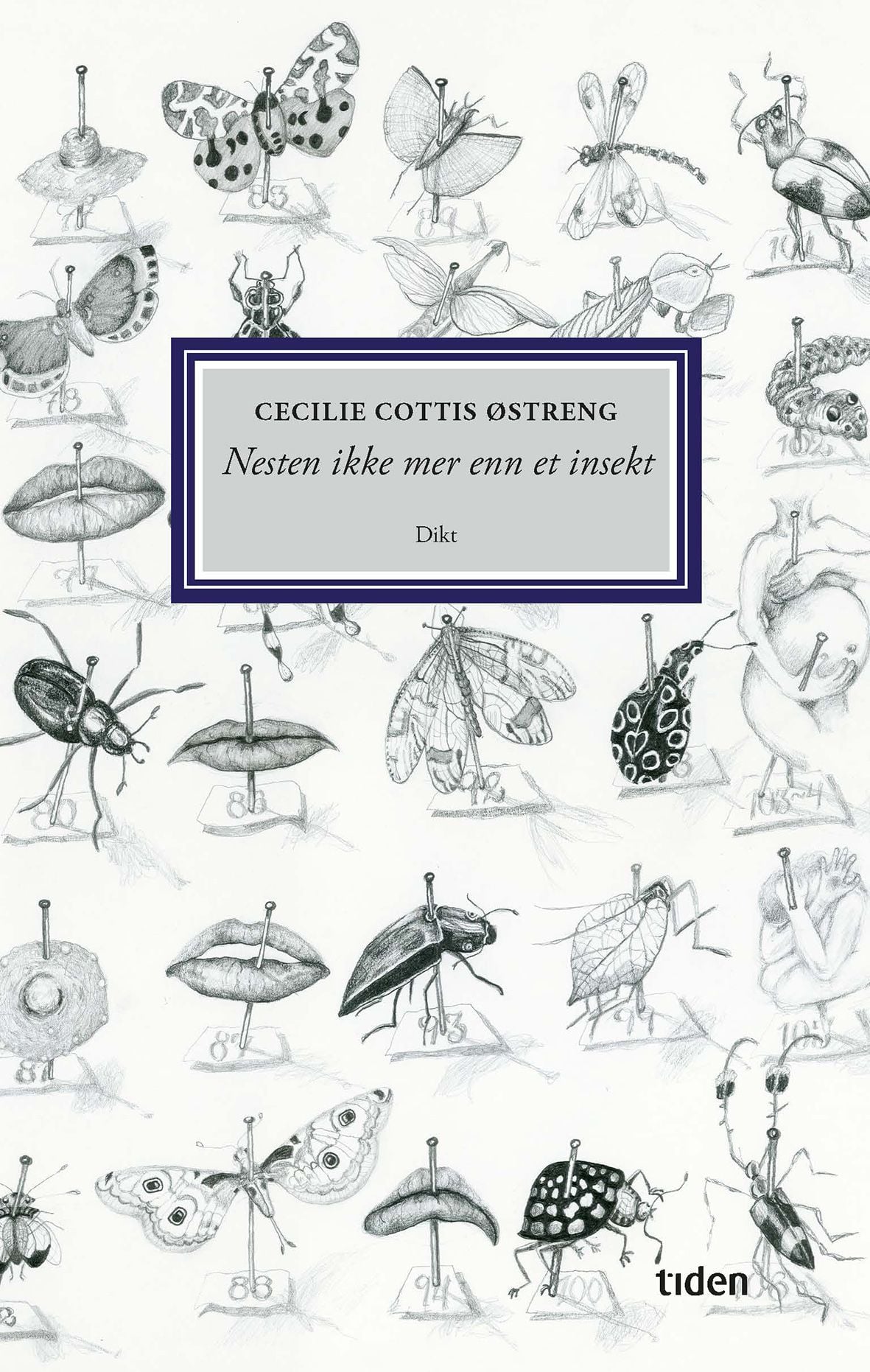 Nesten ikke mer enn et insekt