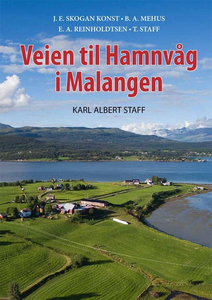 Veien til Hamnvåg i Malangen
