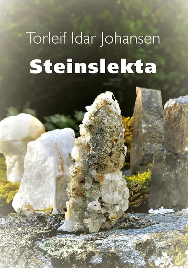 Steinslekta