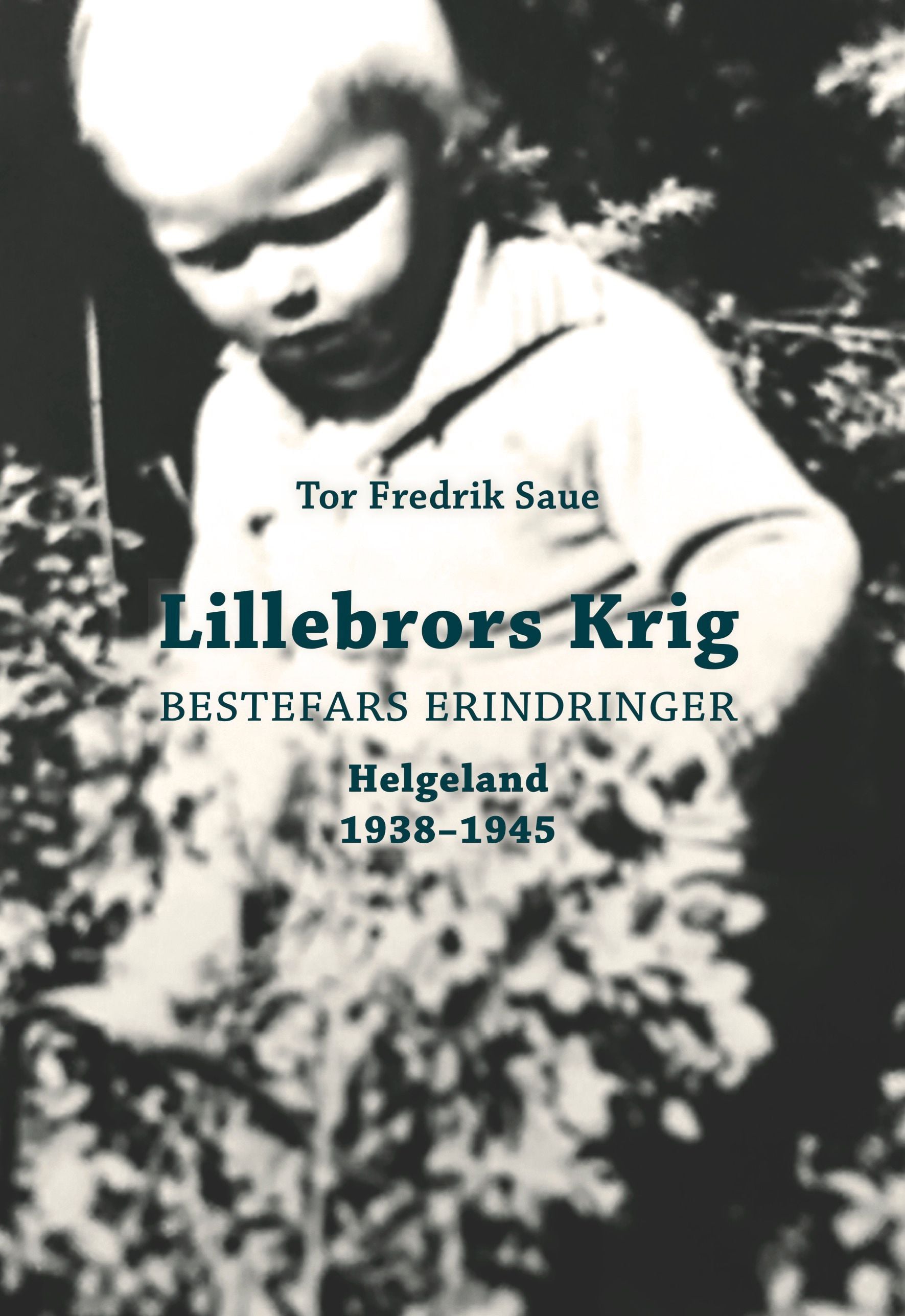 Lillebrors krig