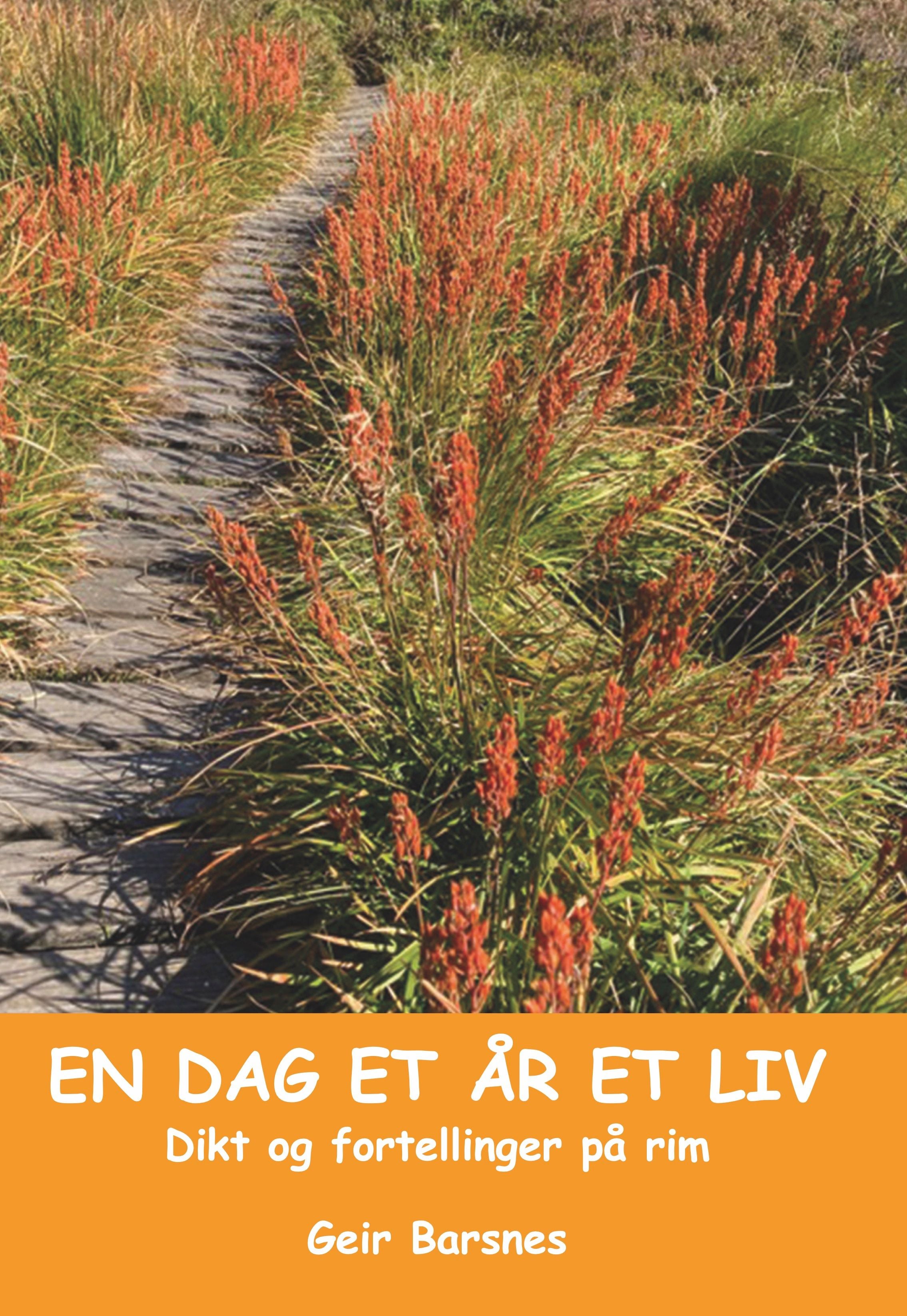 En dag et år et liv