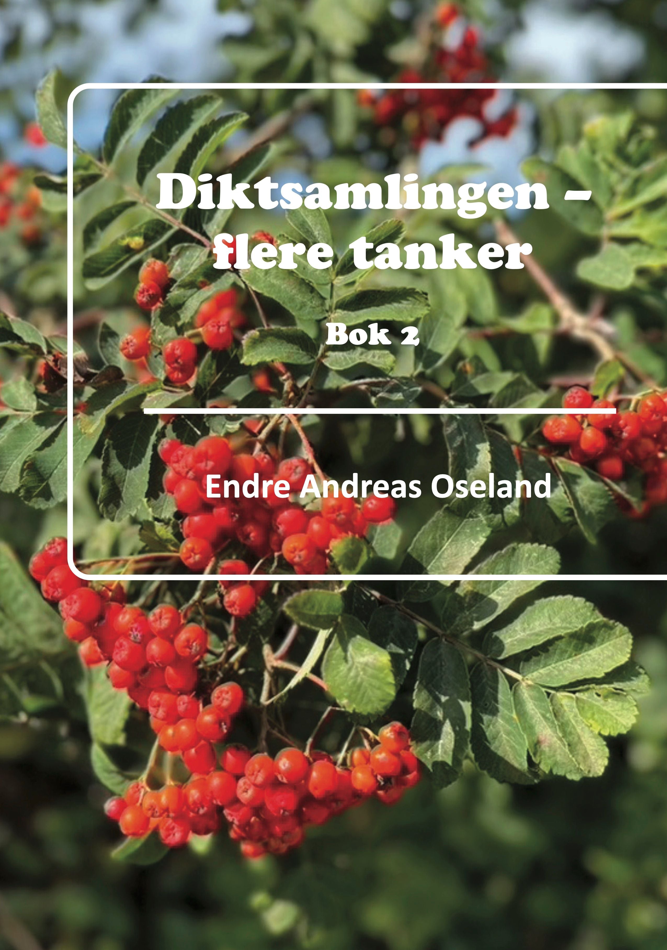 Dikt formidler tankens språk