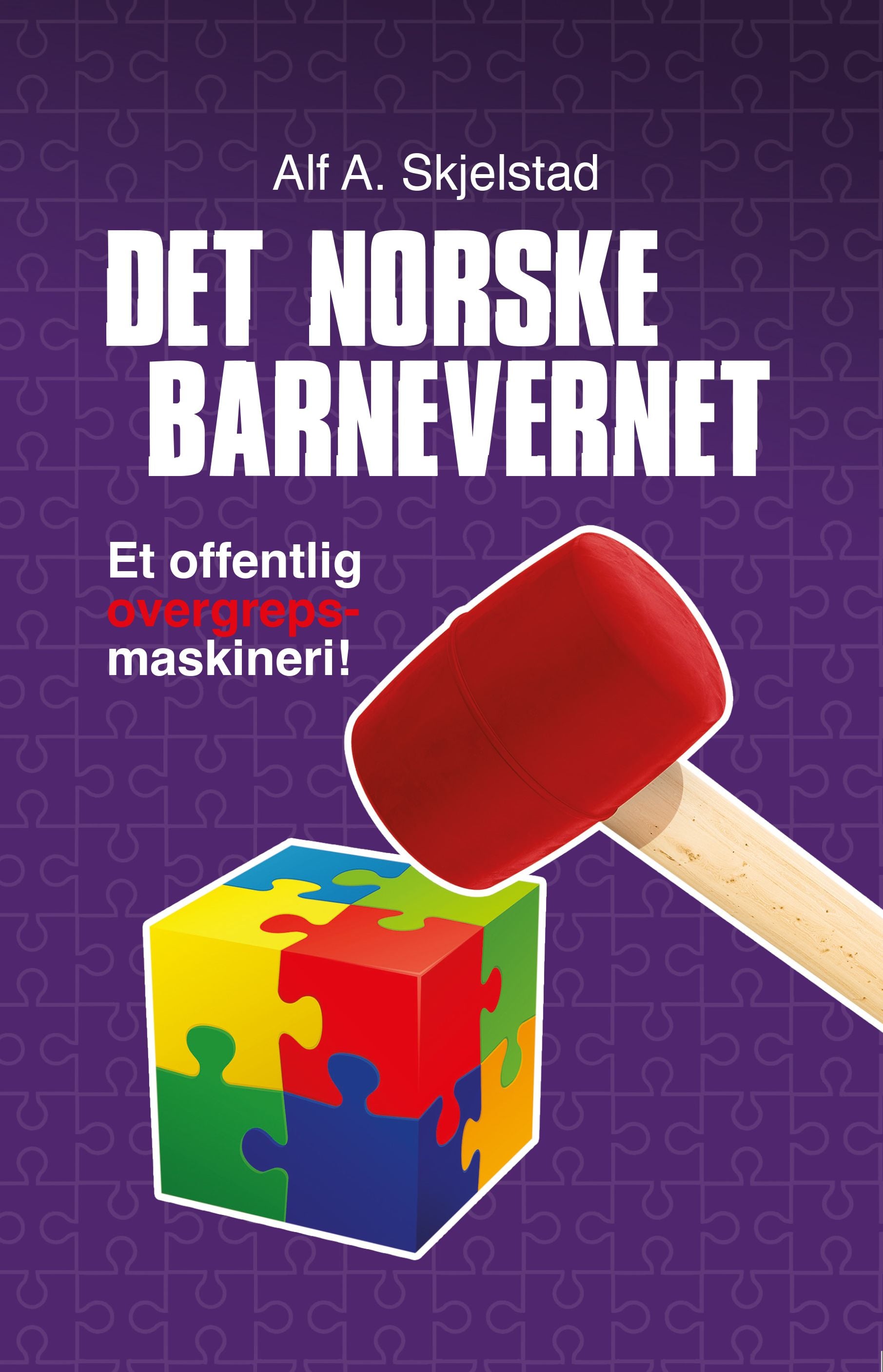Det norske barnevernet