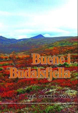 Buene i Budalsfjella