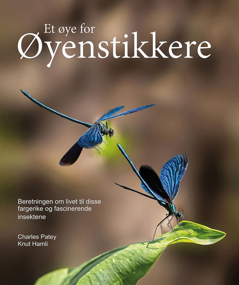 Et øye for øyenstikkere