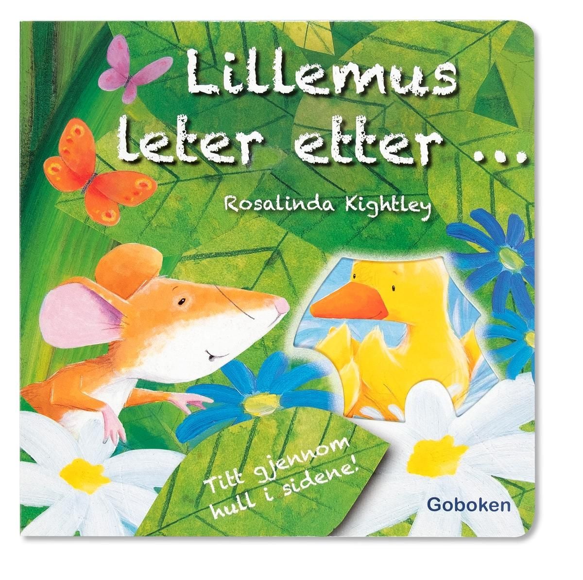 Lillemus leter etter en venn