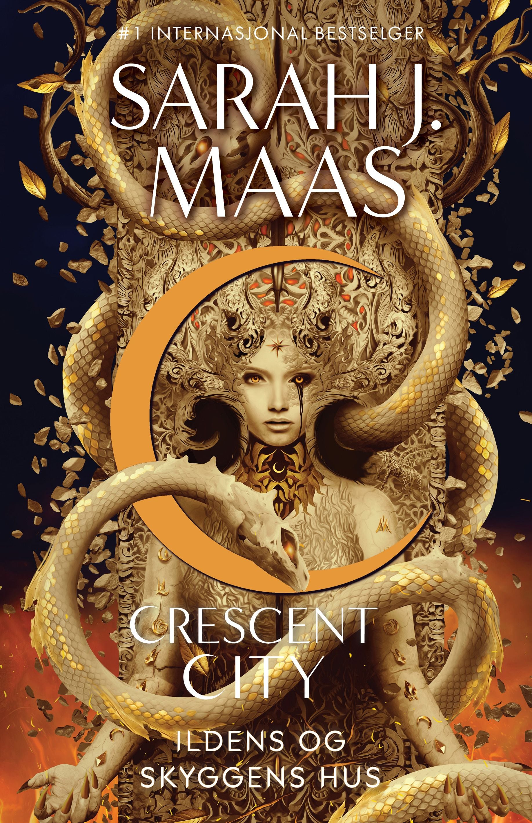 Ildens og skyggens hus