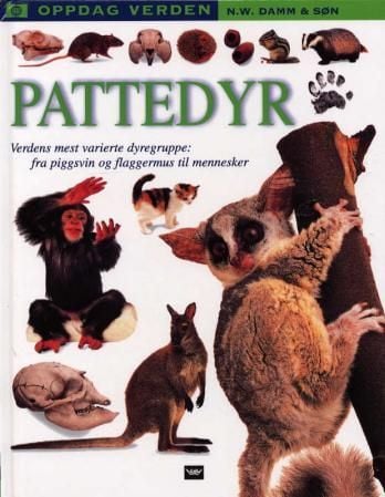 Pattedyr