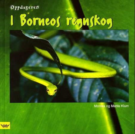 I Borneos regnskog