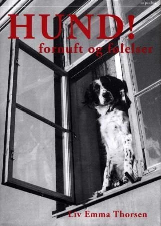 Hund!