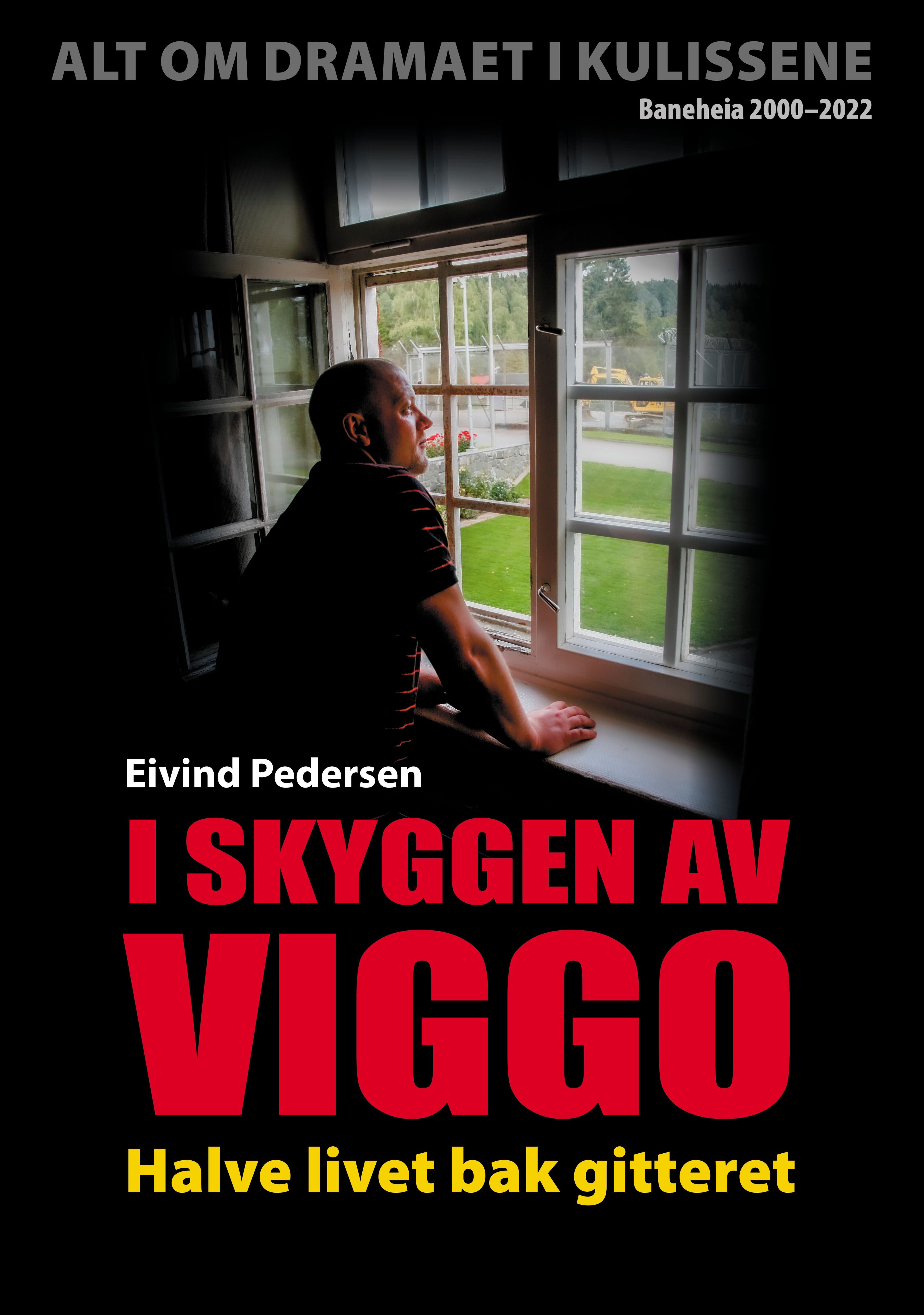 I skyggen av Viggo