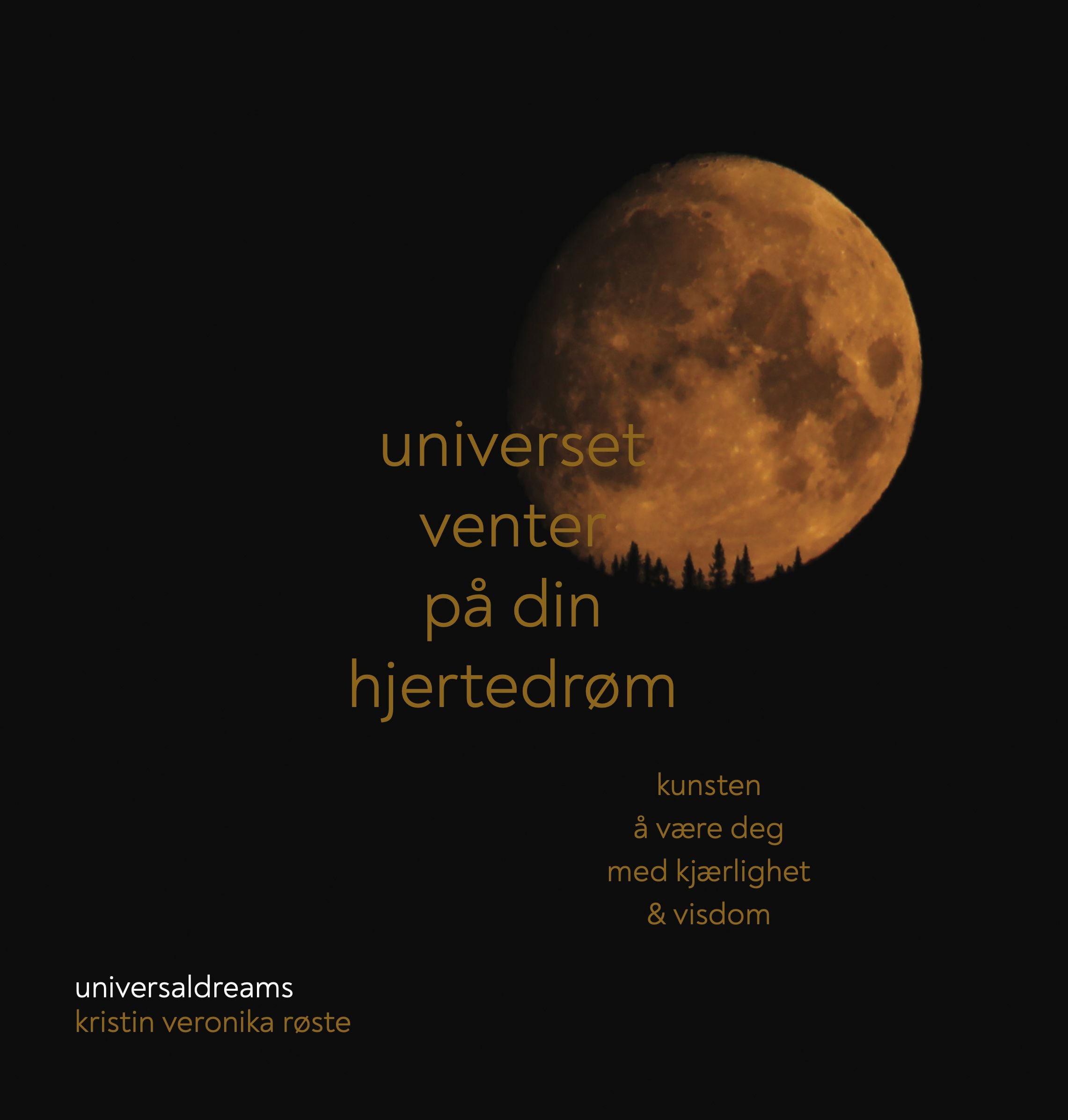 Universet venter på din hjertedrøm