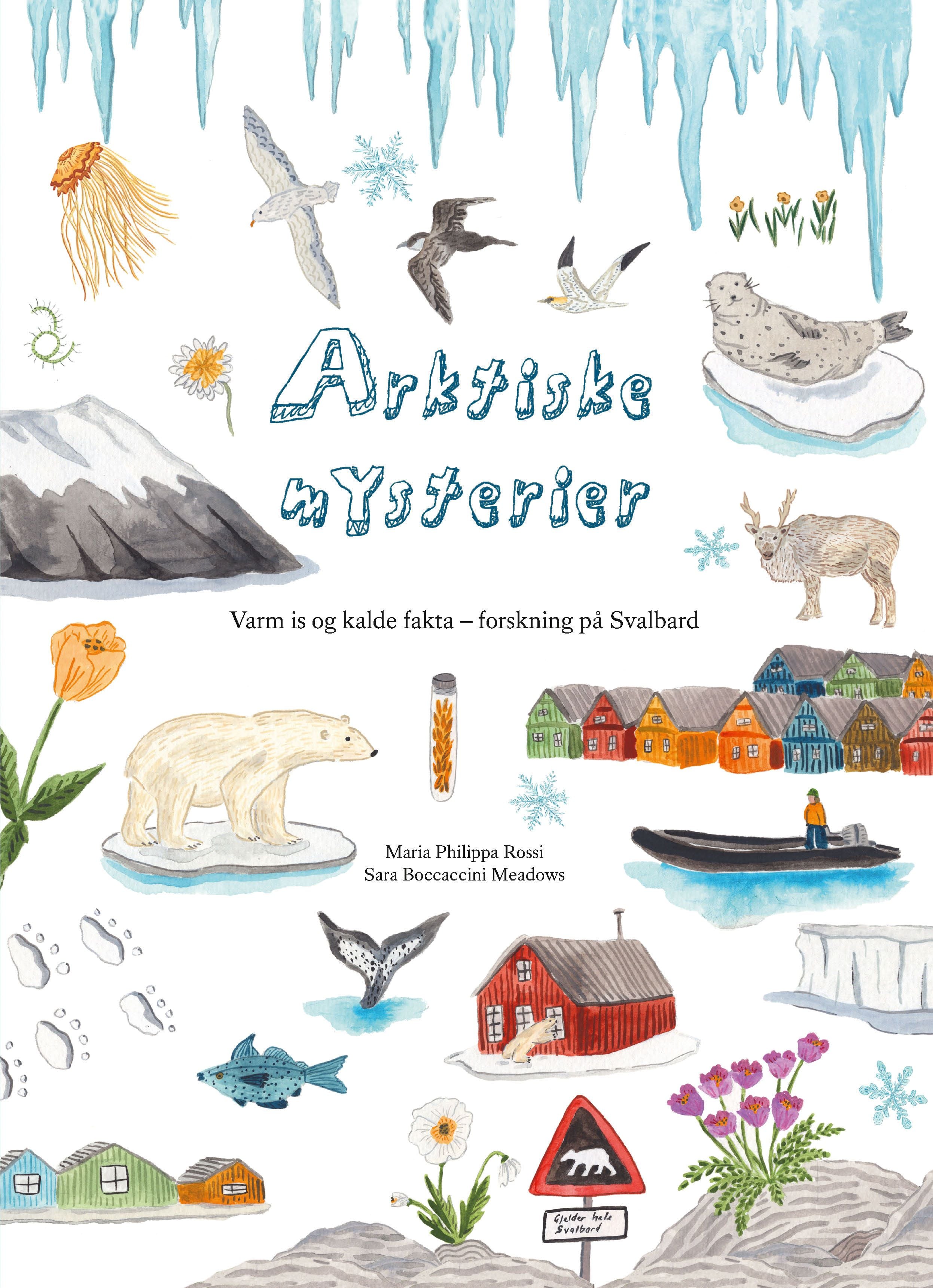 Arktiske mysterier