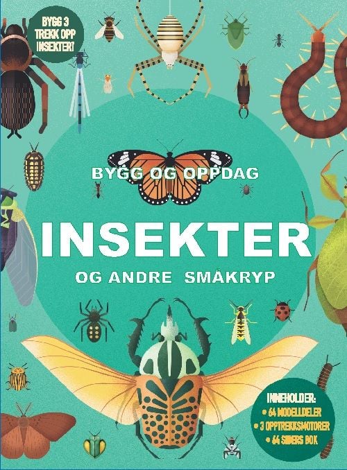 Bygg og oppdag