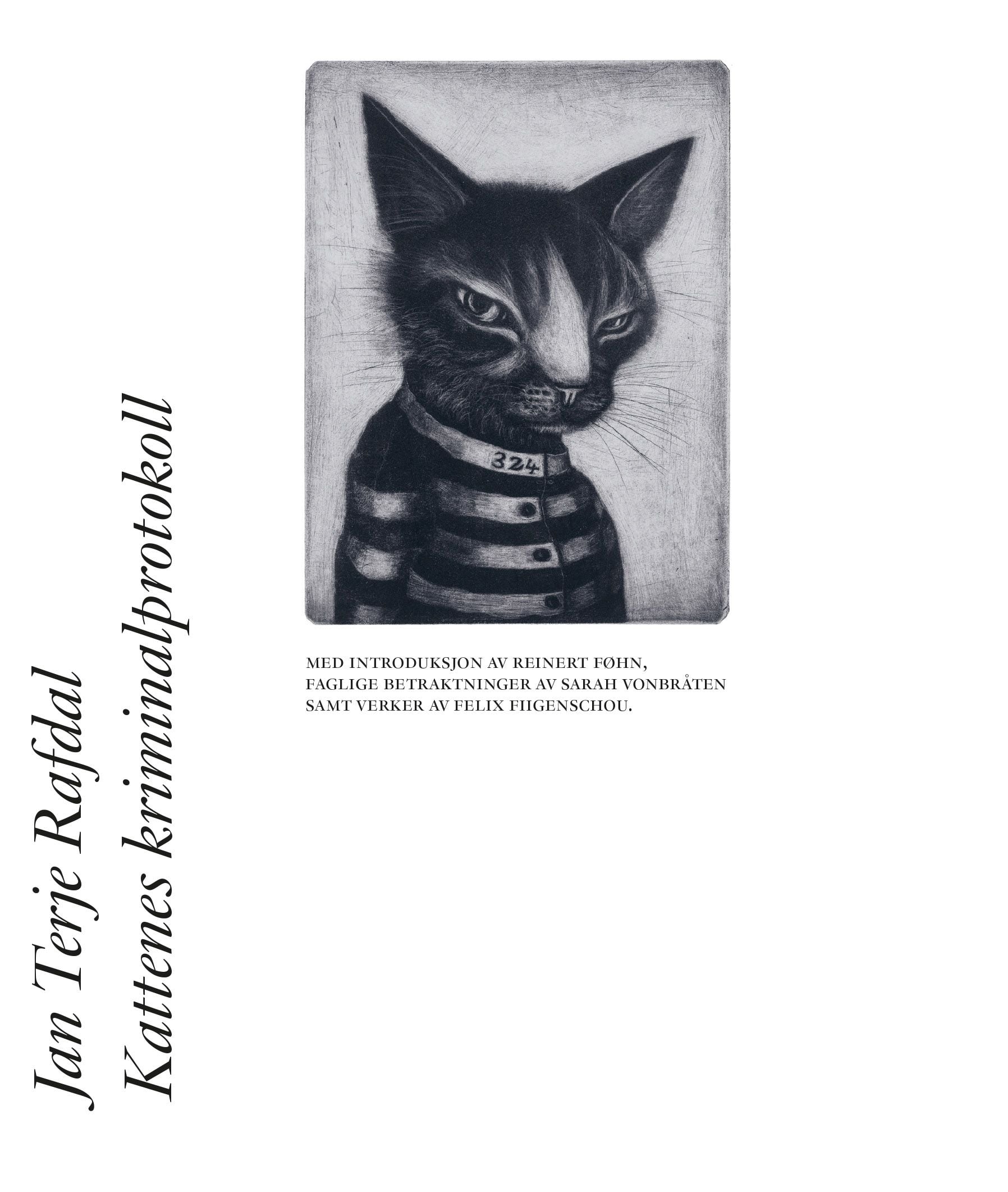 Kattenes kriminalprotokoll