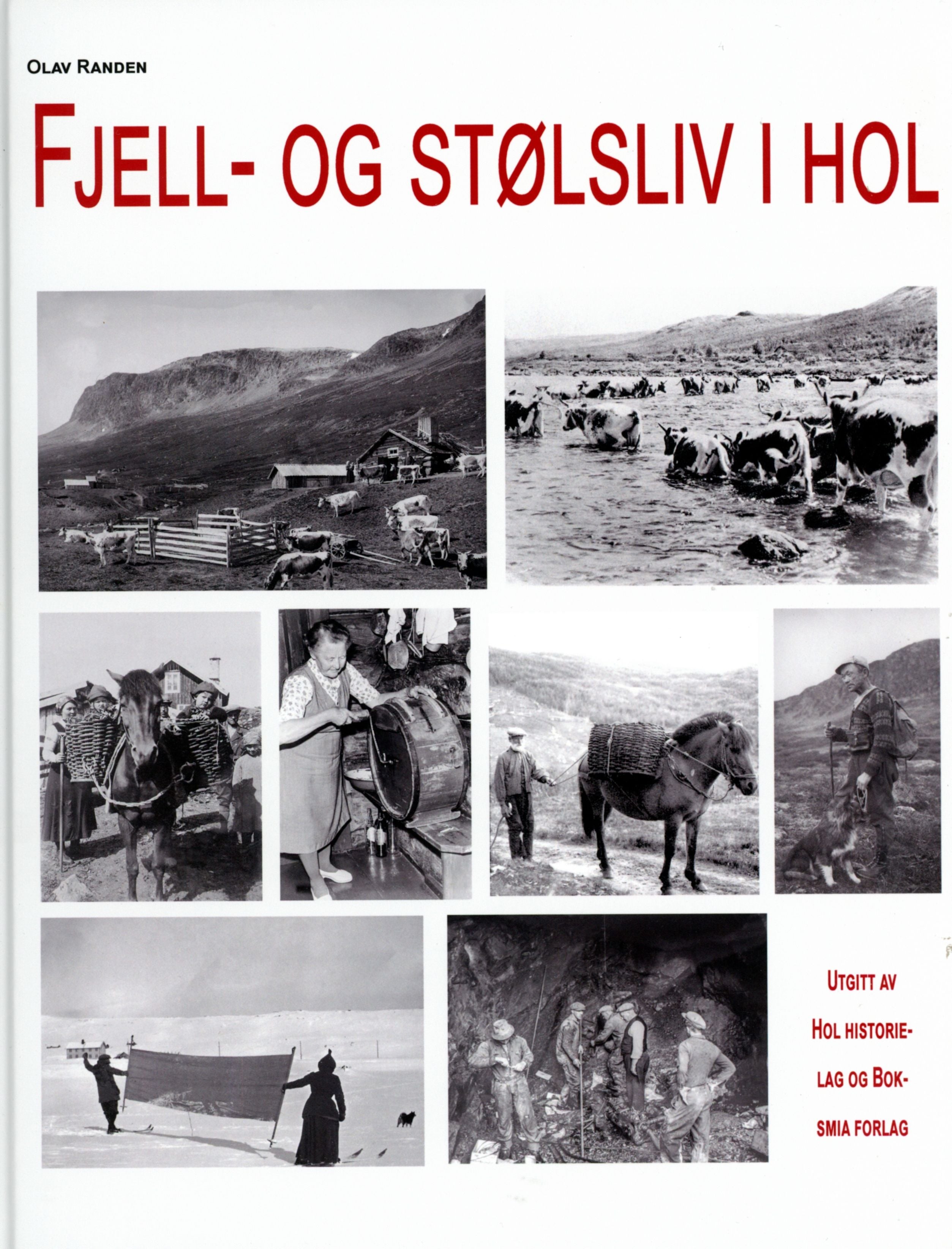 Fjell-og stølsliv i Hol