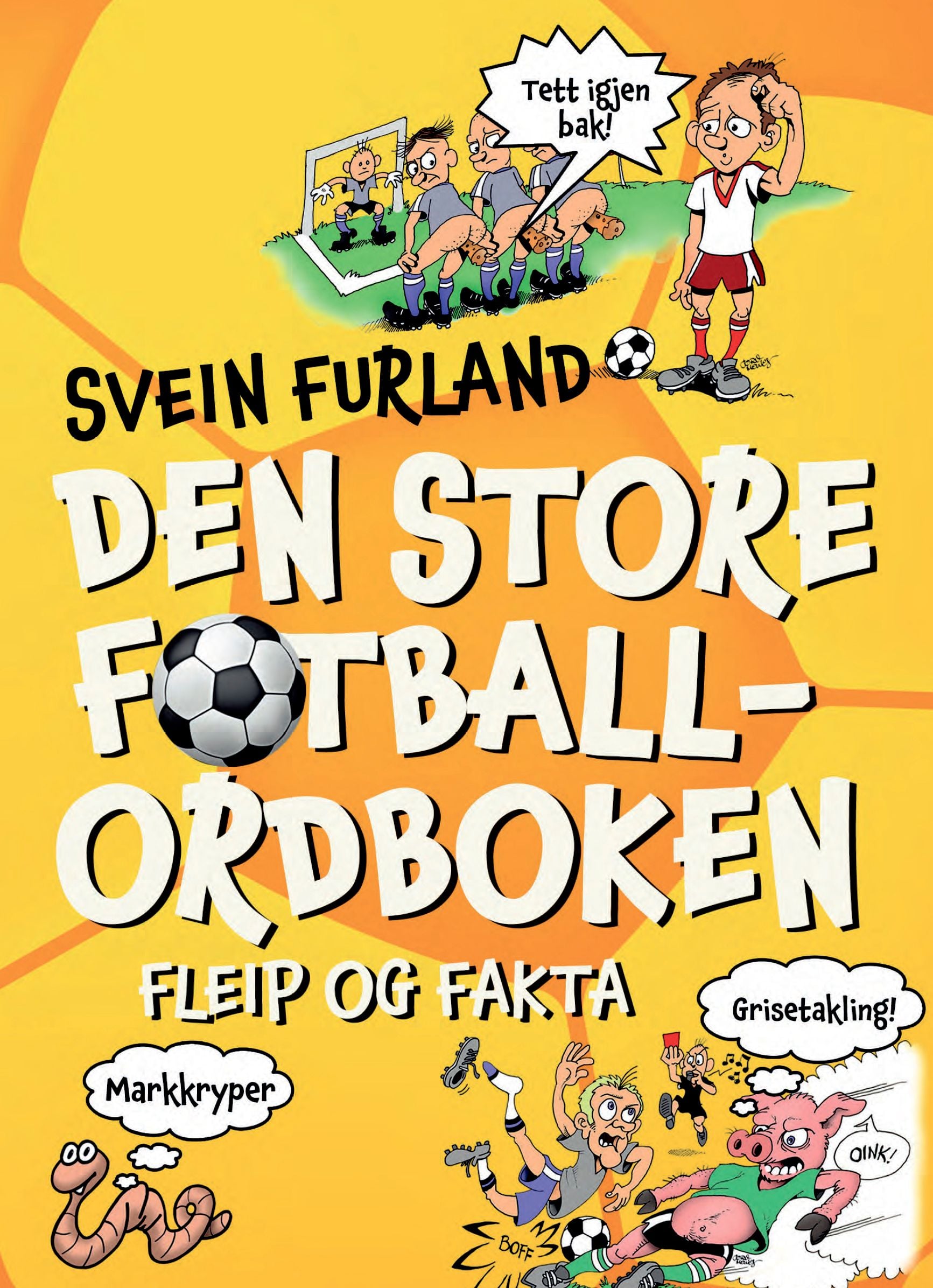 Den store fotballordboken