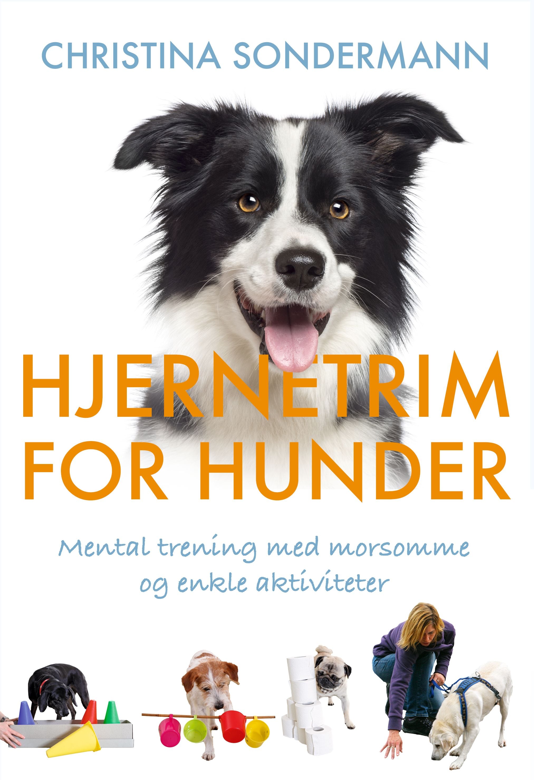Hjernetrim for hunder