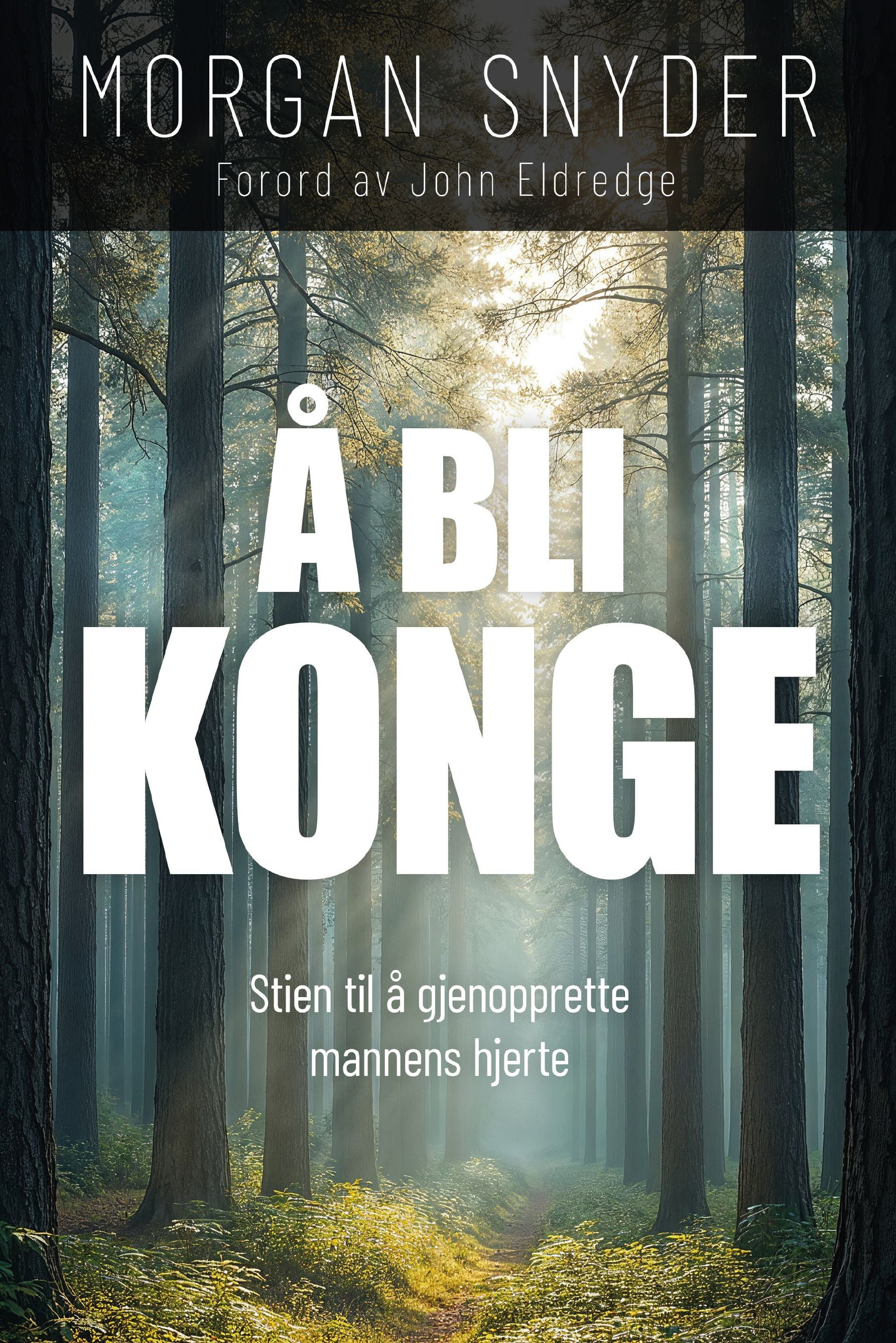 Å bli konge