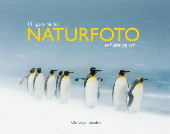 101 gode råd for naturfoto av fugler og dyr