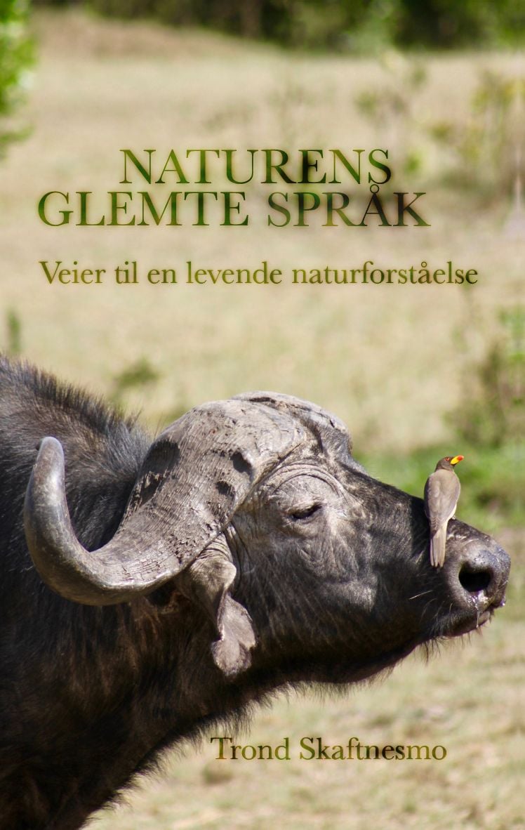 Naturens glemte språk