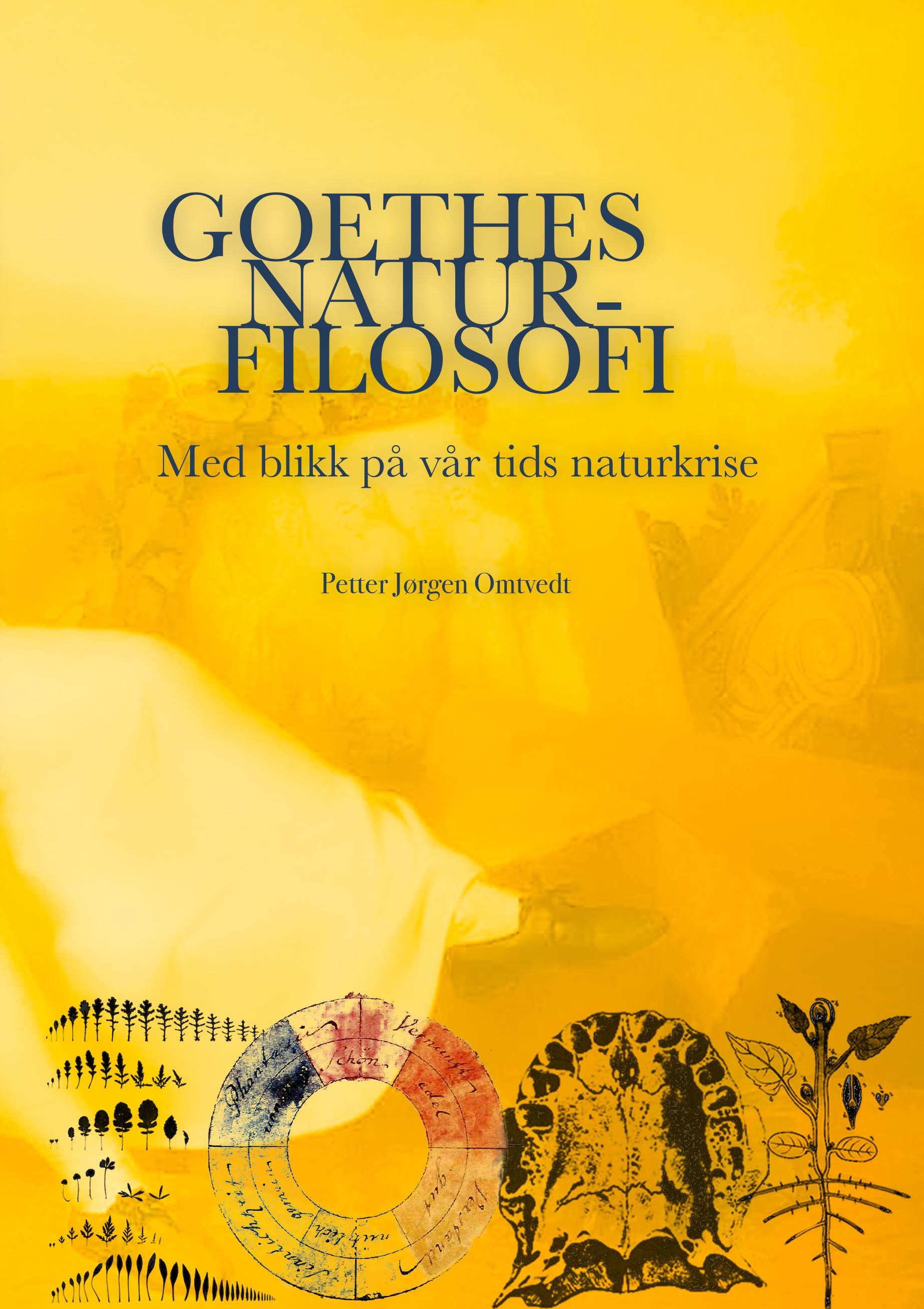 Goethes naturfilosofi