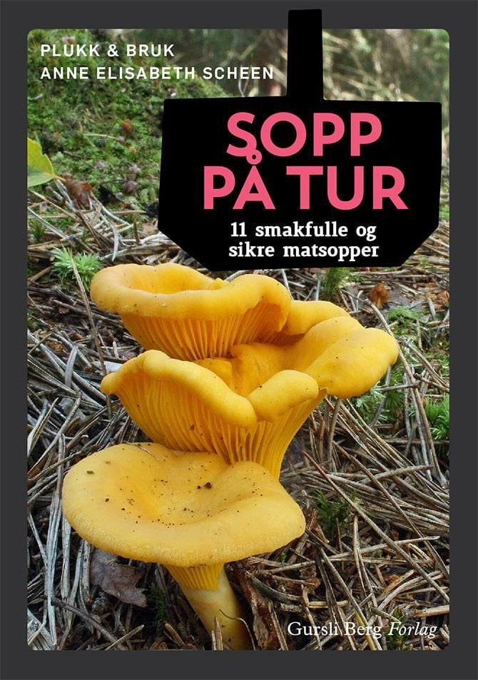 Sopp på tur. Display à 10 bøker