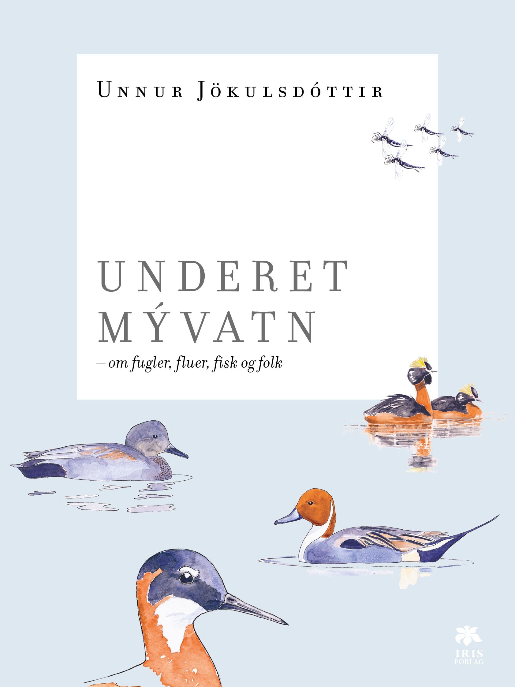 Underet Mývatn