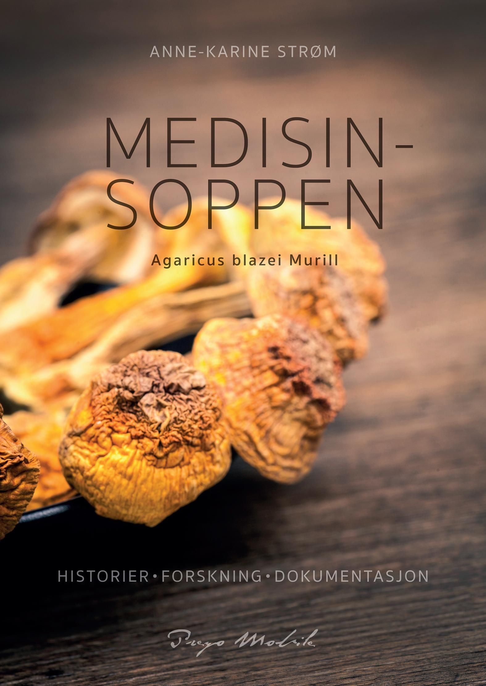 Medisinsoppen