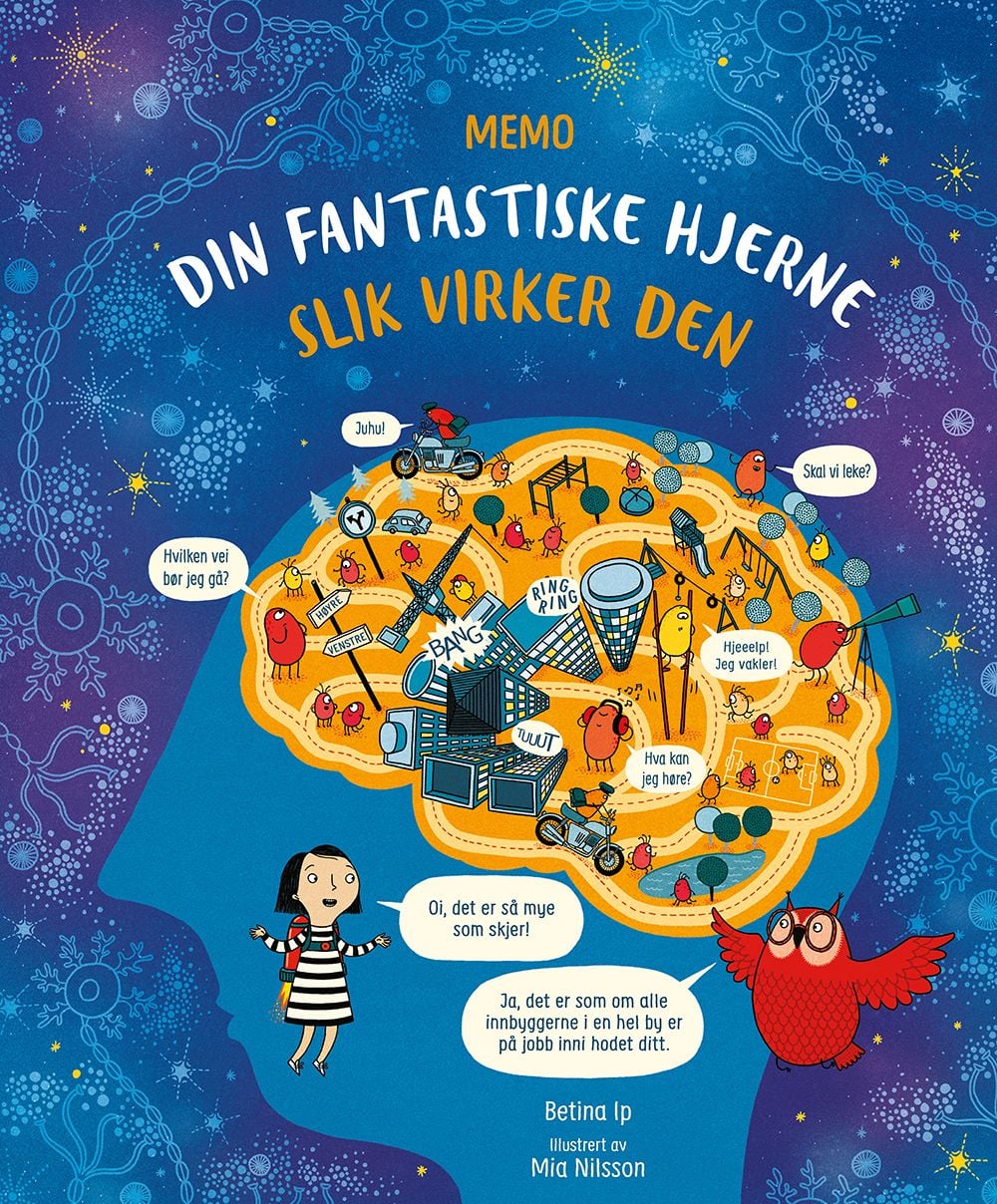 Din fantastiske hjerne