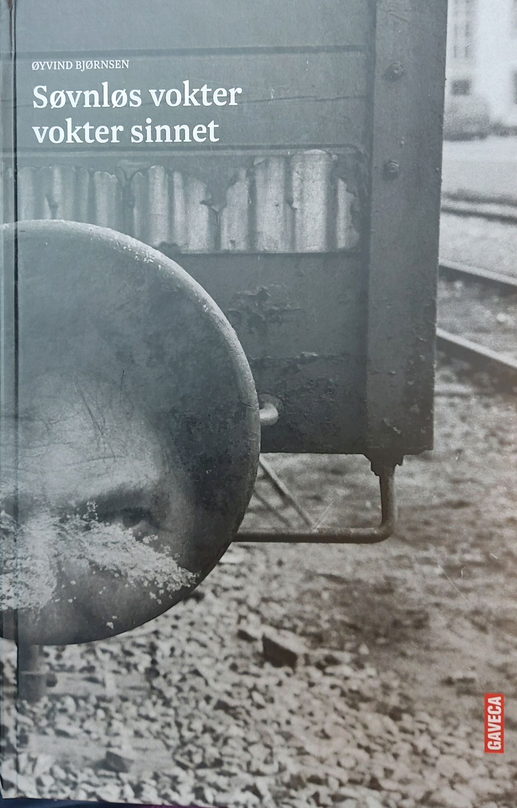 Søvnløs vokter vokter sinnet