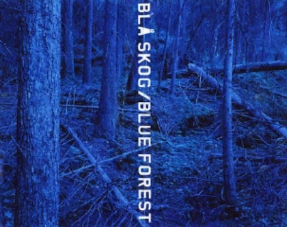 Blå skog = Blue forest