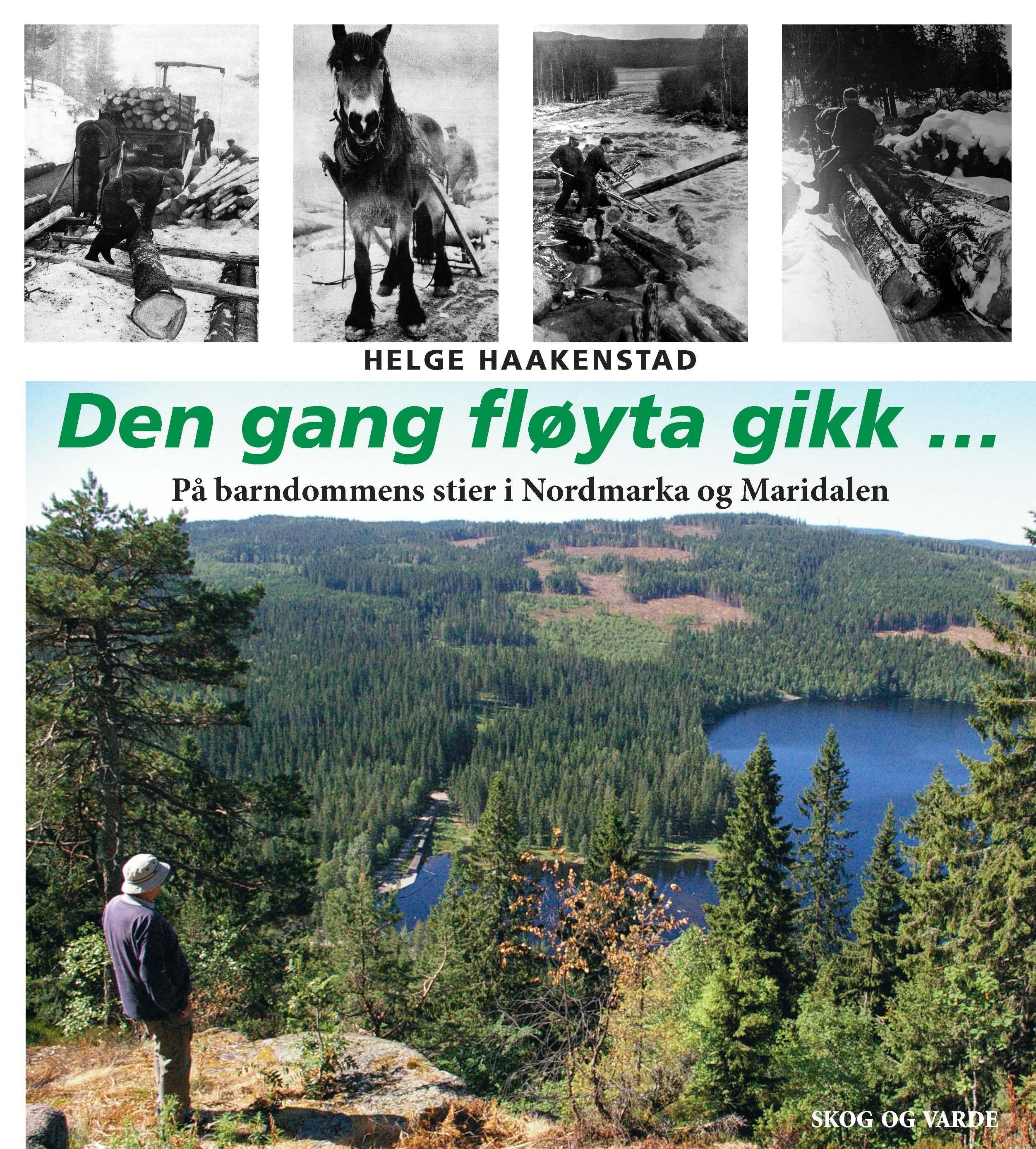 Den gang fløyta gikk