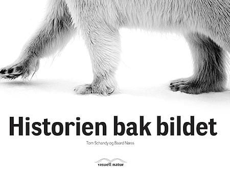 Historien bak bildet