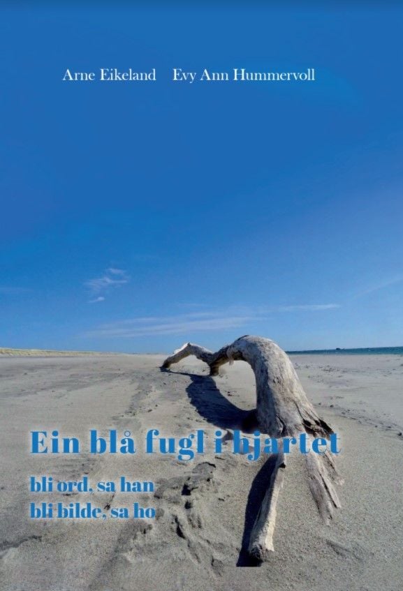 Ein blå fugl i hjartet